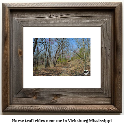 horse trail rides near me in Vicksburg, Mississippi